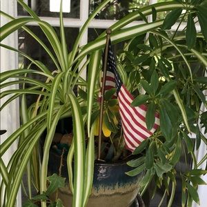 Meet your Posher, Janet